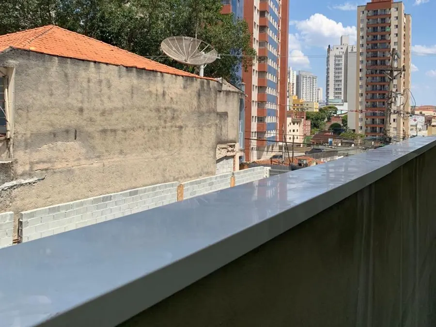 Rufo pingadeira cinza instalado no topo de uma mureta
